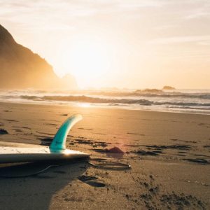 In delectus minima esse optio officiis facilis