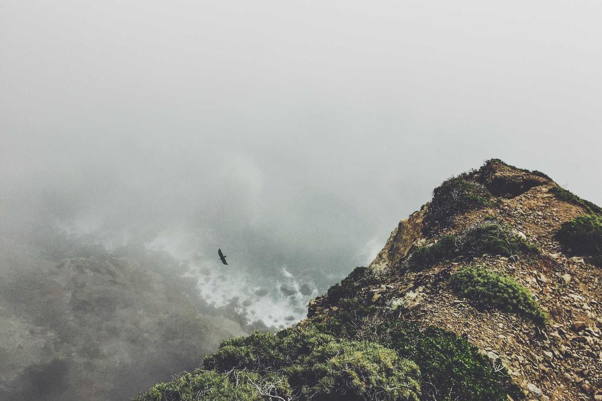 Consequuntur dicta mollitia quam nam ut ut