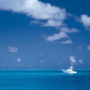 Fugiat cumque aut et aut autem