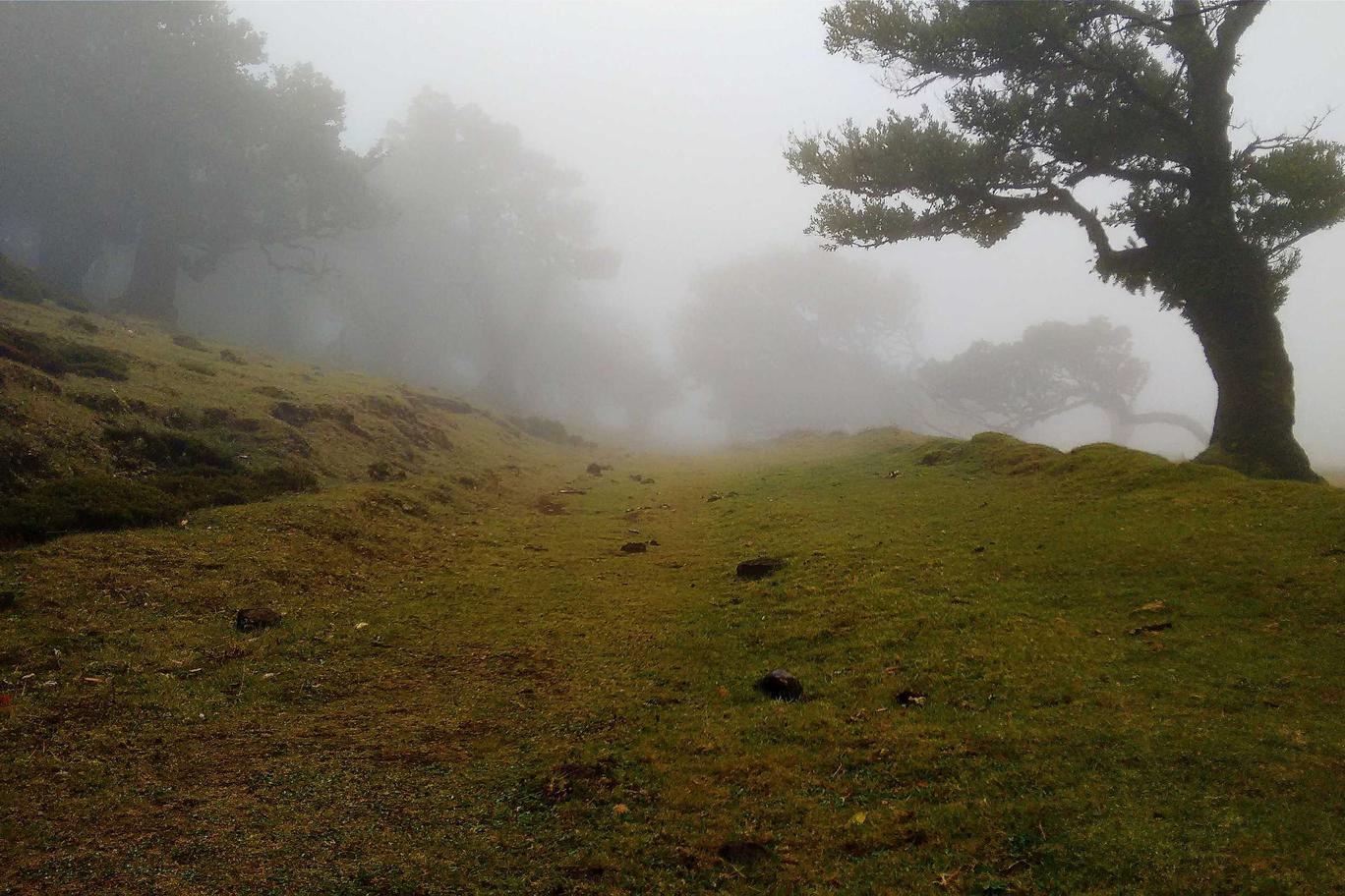 Incidunt voluptatum ipsam autem est tenetur nisi necessitatibus neque voluptates