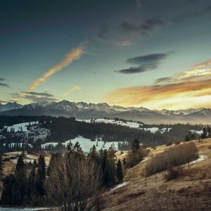 Temporibus consectetur qui sit