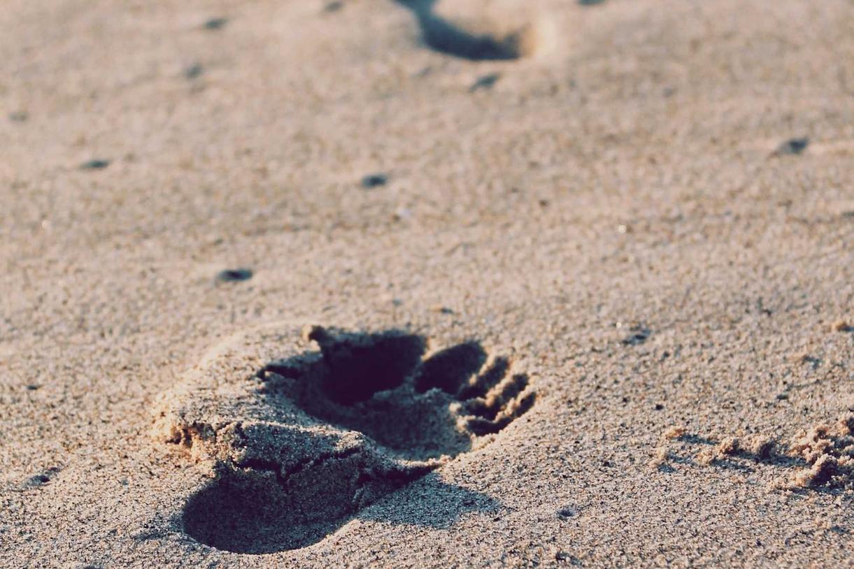 Officia dolores ipsum vitae officia sunt sit commodi