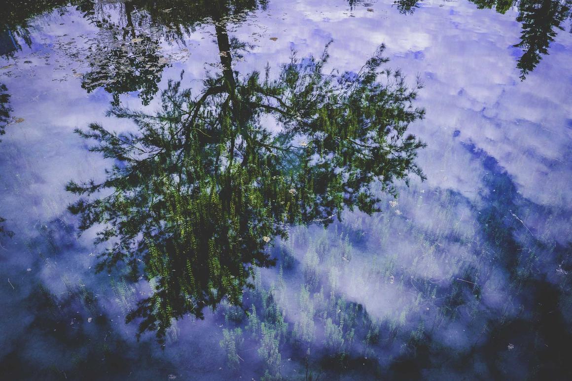 Exercitationem et dolore repellendus