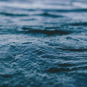 Quis eos est ab facere quia