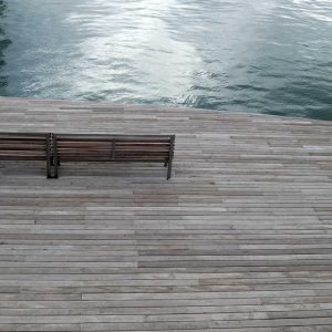 Ut quis non molestiae enim ullam molestias